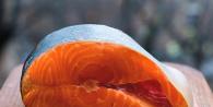 Si të kriposni, piqni ose skuqni në mënyrë të shijshme peshkun e salmonit të kuq coho