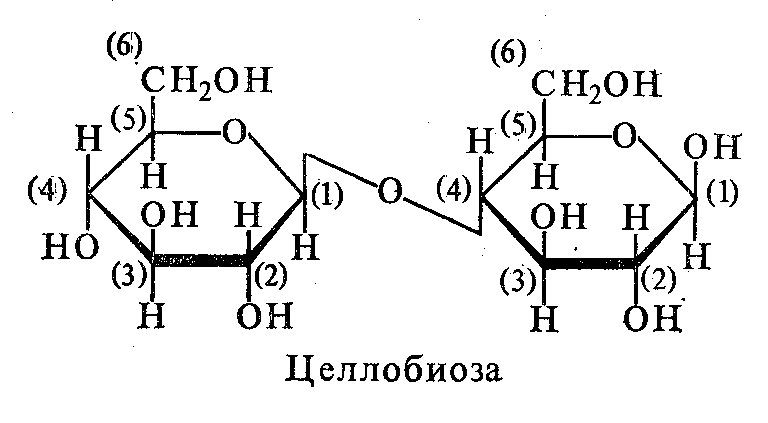 Целлобиоза формула. Целлобиоза циклическая формула. Целлобиоза структурная формула. Циклическая формула Целлобиозы. Структурная формула Целлобиозы.